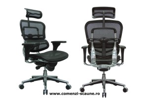 Scaune ergonomice profesionale Ergohuman