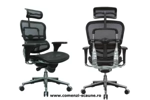 Scaune ergonomice profesionale Ergohuman