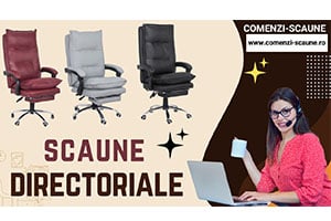 Video scaune Directoriale Office 419