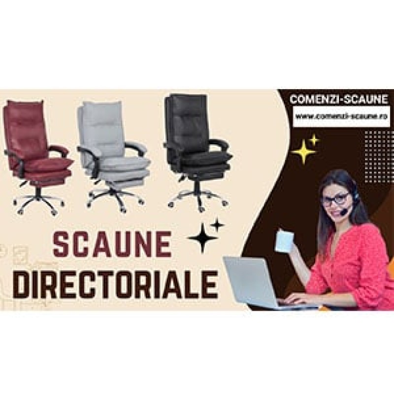 Video scaune Directoriale Office 419