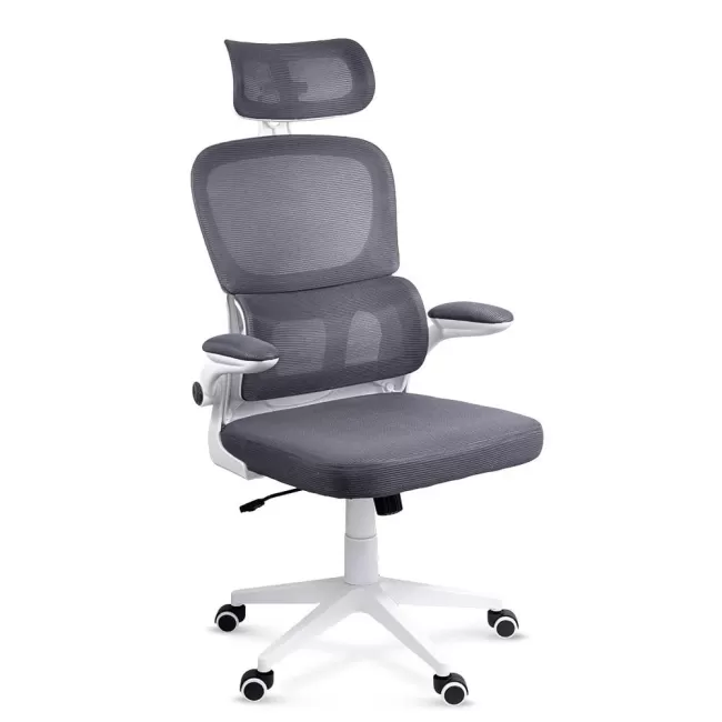 Scaun birou cu suport lombar și brațe rabatabile OFF 432 gri