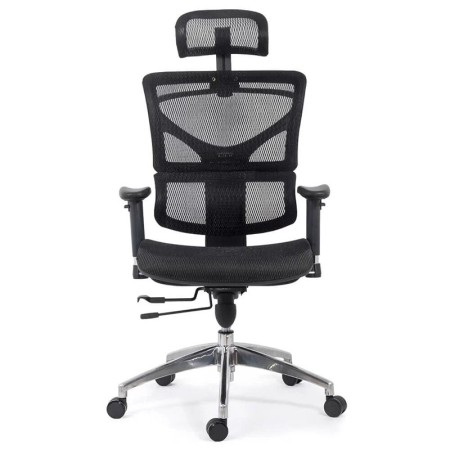 Scaun ergonomic rezistent si multifunctional-negru Scaun ergonomic rezistent si multifunctional-negru