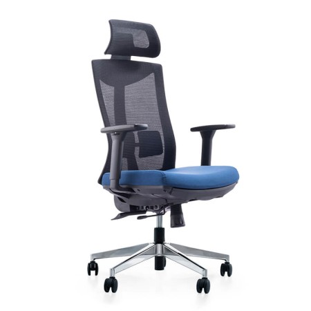 Scaun ergonomic multifuncțional SYYT 9501 albastru Scaun ergonomic multifuncțional SYYT 9501 albastru