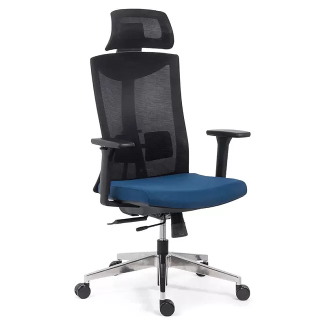 Scaun ergonomic multifuncțional SYYT 9501 albastru