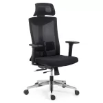Scaun ergonomic multifunctional si elegant pe culoarea negru