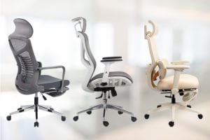 Care este cel mai bun scaun de birou ergonomic cu un buget de 1000 de lei?