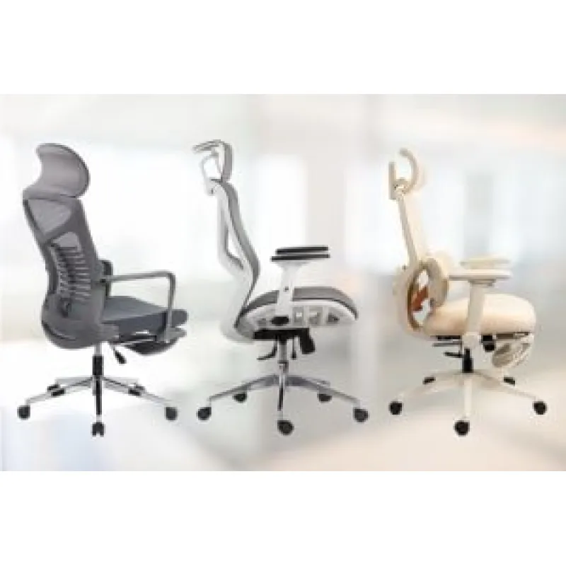 Care este cel mai bun scaun de birou ergonomic cu un buget de 1000 de lei?
