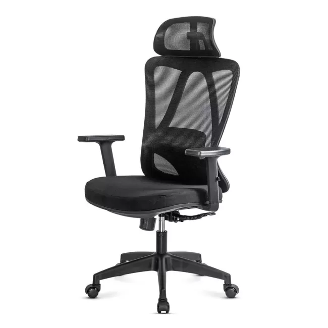 Scaun de birou cu tetieră reglabilă și suport lombar OFF 987