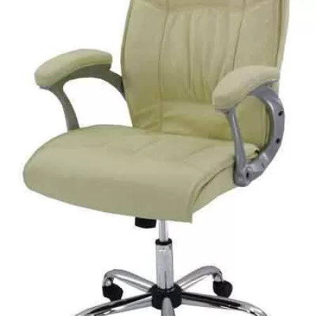 Scaune ergonomice 355