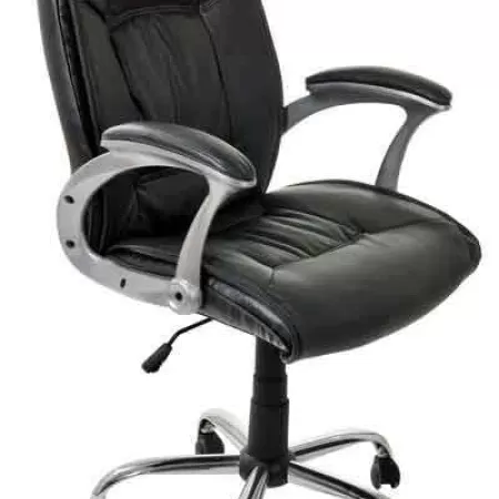 Scaune ergonomice 355