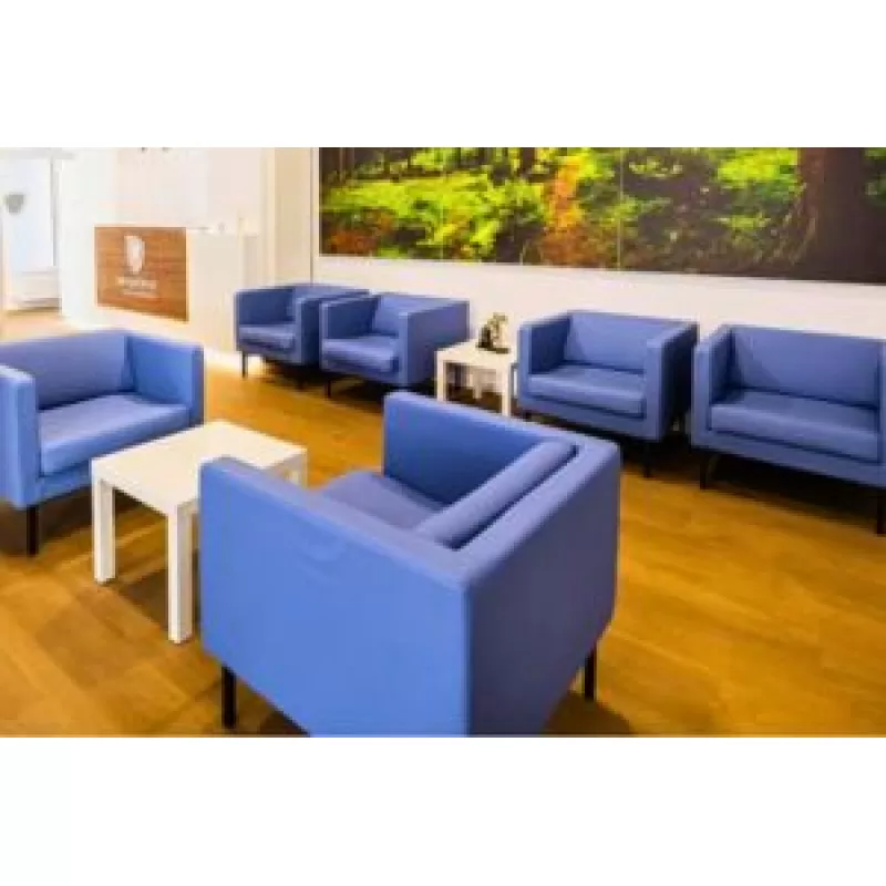 Canapele și fotolii pentru clinici și recepții corporate, eleganță profesională