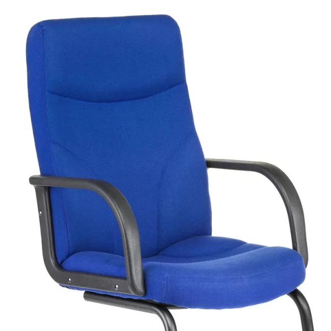 	Scaune vizitator Riva S baza tip sanie-albastru