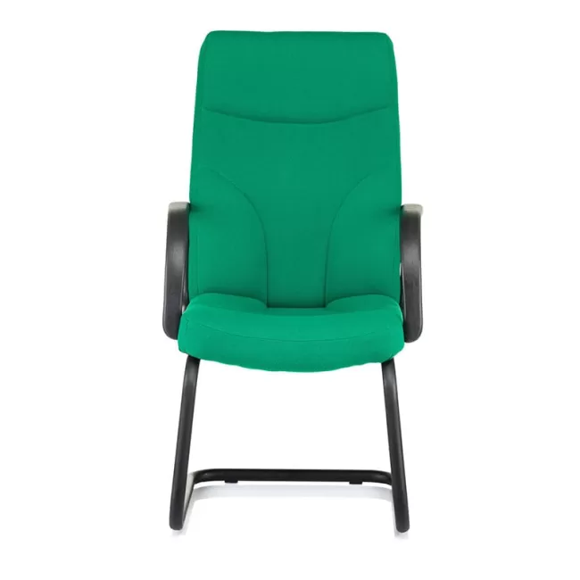 Scaune vizitator Riva S bază tip sanie pe verde