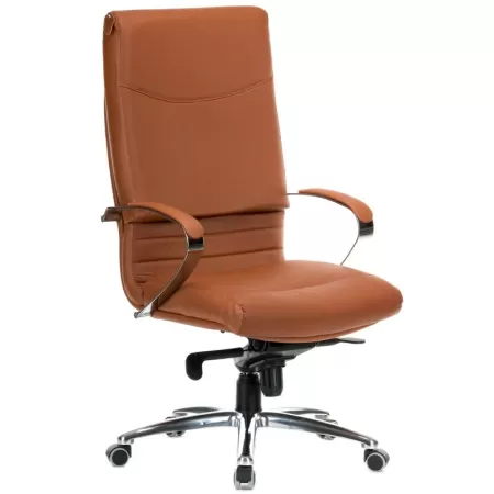 Scaun directorial de birou 5600 Sett in diferite culori