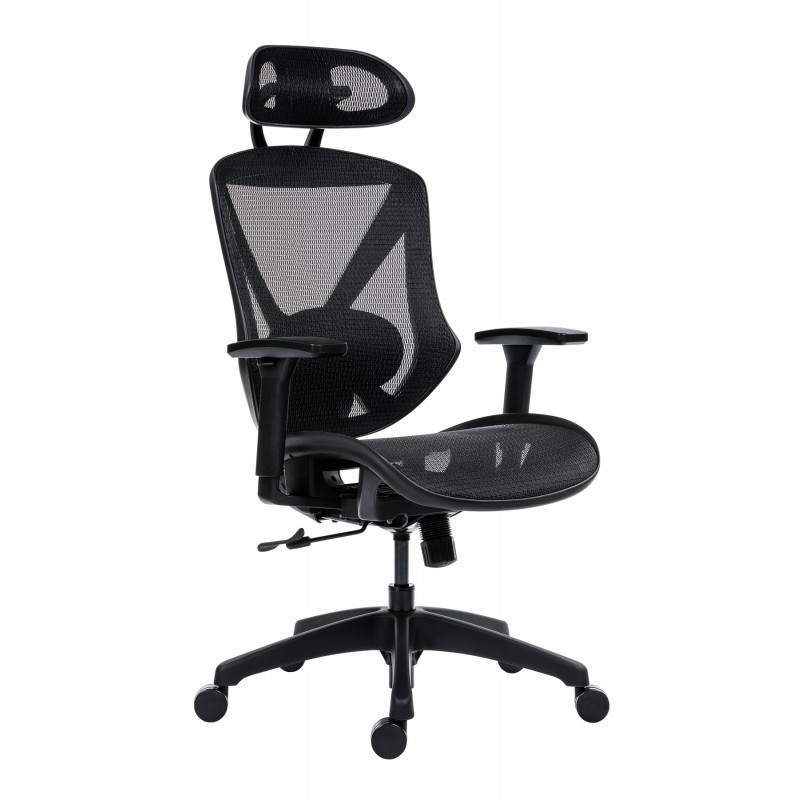 Scaun ergonomic AERO PRO flexibil și rezistent