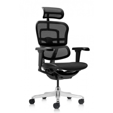 Scaun de birou Ergohuman 2 Ultra Black Scaun de birou Ergohuman 2 Ultra Black