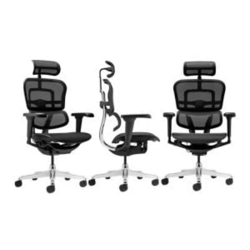 Scaun de birou Ergohuman 2 Ultra Black – ergonomie premium și confort superior