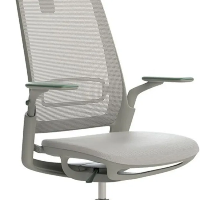 Scaun ergonomic de birou ETHEREA Torrente cu tetieră PDH