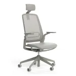 Scaun ergonomic de birou Etherea Torrente cu tetieră PDH