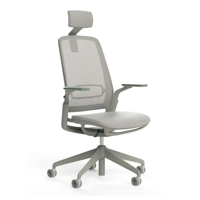 Scaun ergonomic de birou ETHEREA Torrente cu tetieră PDH