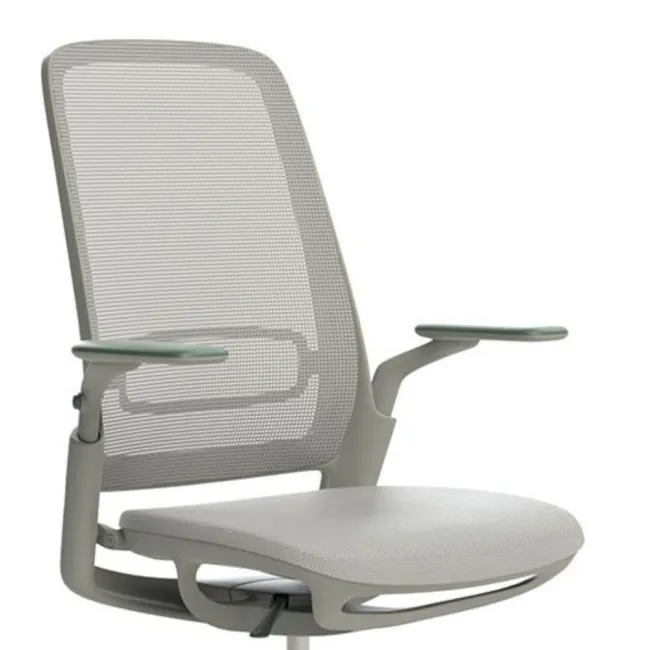 Scaun ergonomic de birou ETHEREA Torrente cu tetieră PDH