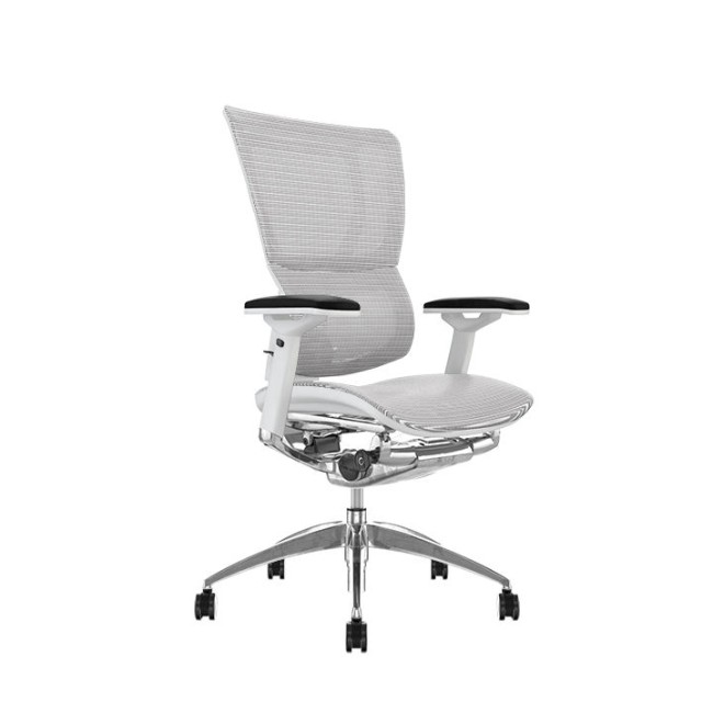 Scaun ergonomic MW