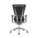 Scaun ergonomic office N