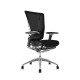 Scaun ergonomic office N