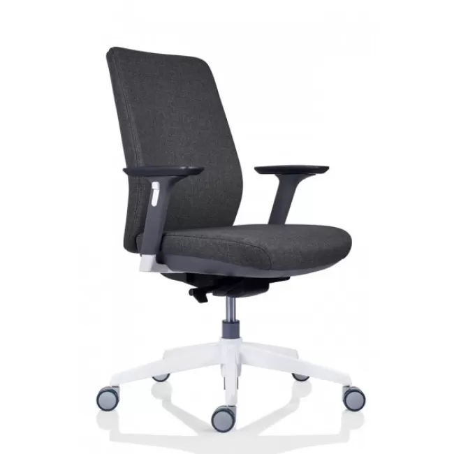 Scaun pentru birou multifuncțional Tesla Tapițat 