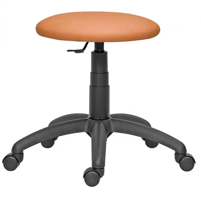 Scaune profesionale LABOR diverse culori