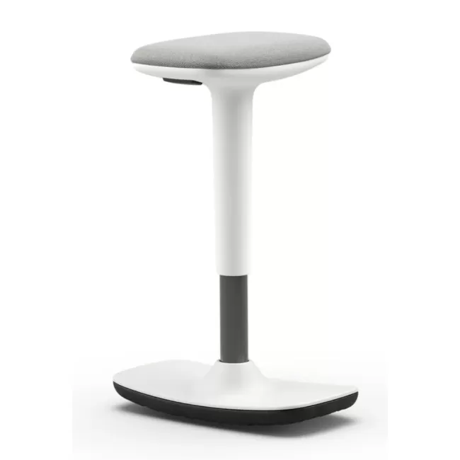 Scaune profesionale active Leo