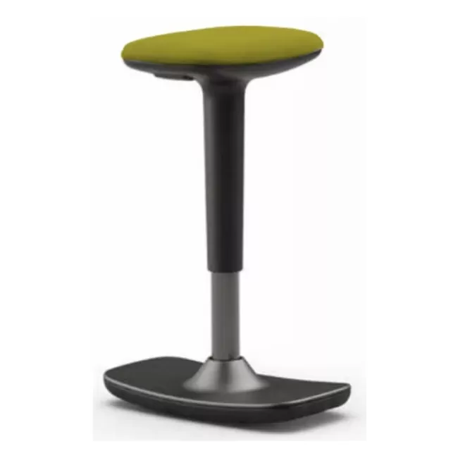 Scaune profesionale active Leo