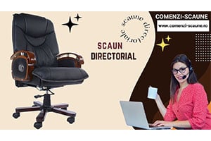 Video fotoliu directorial din piele naturală