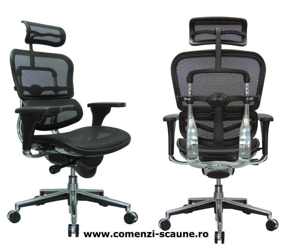 Scaune ergonomice profesionale Ergohuman Mesh