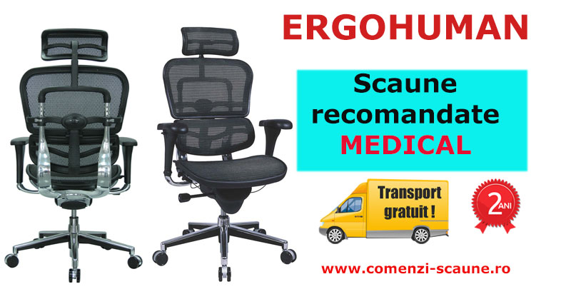 Scaune ergonomice profesionale Ergohuman Medical