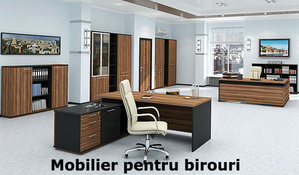 Birouri - Dulapuri - Comode - Vitrine - Mobilier Modular