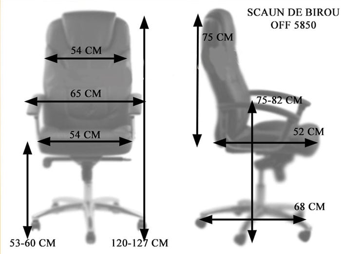 Dimensiune Scaun de birou OFF 5850