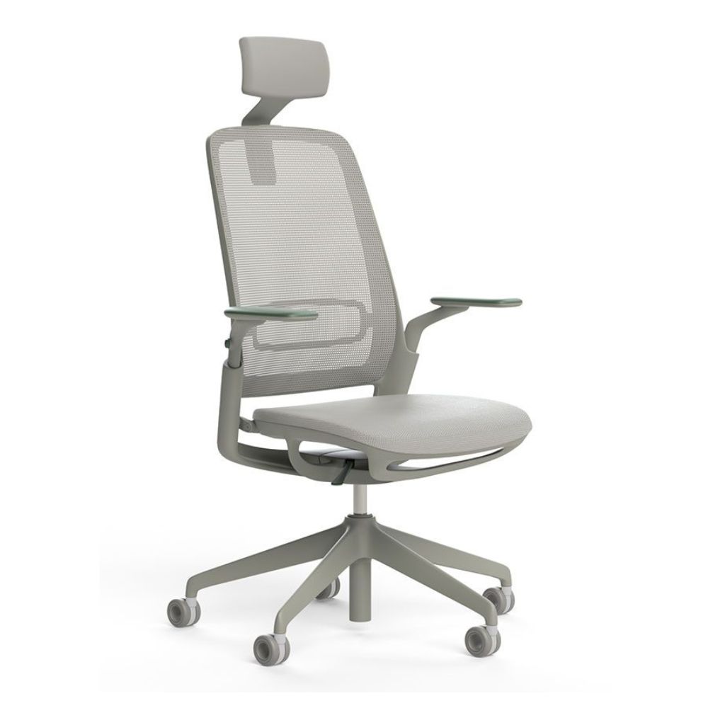 Scaun ergonomic de birou ETHEREA Torrente cu tetieră PDH 